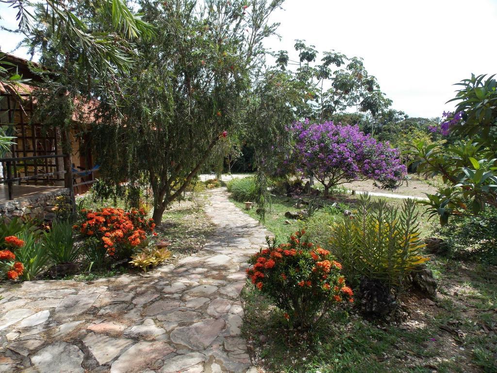 Pousada Vila Dos Ipes Cavalcante Rom bilde